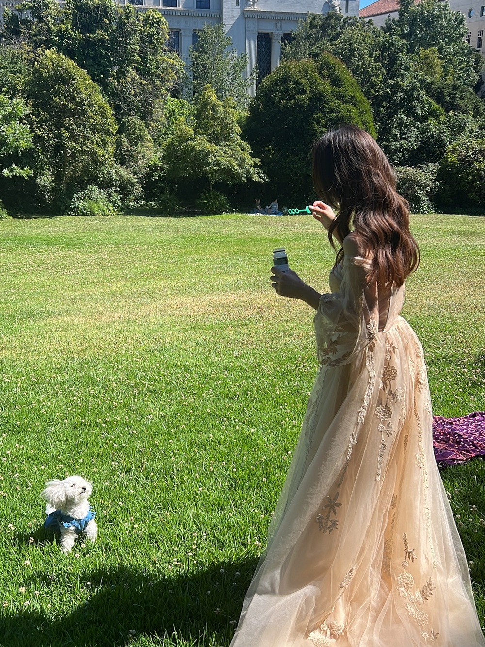Strapless Lace Appliqué Tulle Gown in Champagne - Picture 6 of 7